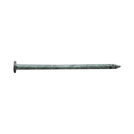 PRO-FIT Common Nail, 2 in L, 6D, Hot Dipped Galvanized Finish 0054138